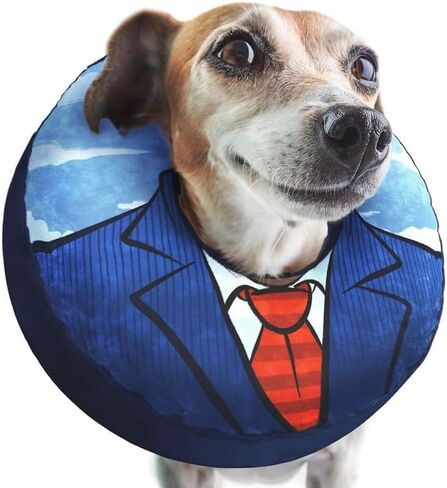 Small Dog Donut Collar - Inflatable Dog Cone Alternative for After Surgery Recovery. Donut Dog Cone Small Size Dog. Inflatable Dog Collars for After Surgery Donut Cone for Dogs. Soft Cone Dog in Kuwait