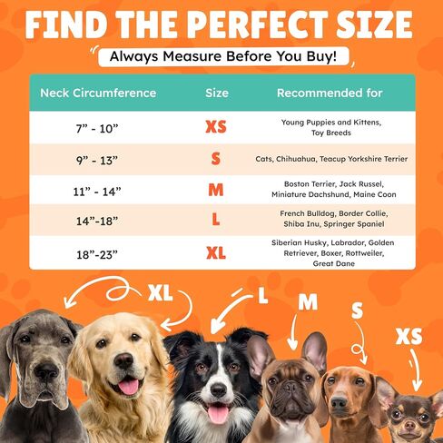 Small Dog Donut Collar - Inflatable Dog Cone Alternative for After Surgery Recovery. Donut Dog Cone Small Size Dog. Inflatable Dog Collars for After Surgery Donut Cone for Dogs. Soft Cone Dog in Kuwait