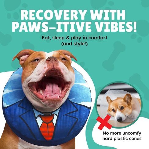 Small Dog Donut Collar - Inflatable Dog Cone Alternative for After Surgery Recovery. Donut Dog Cone Small Size Dog. Inflatable Dog Collars for After Surgery Donut Cone for Dogs. Soft Cone Dog in Kuwait