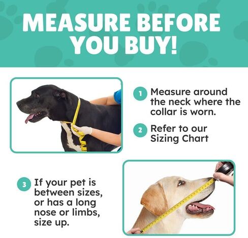 Small Dog Donut Collar - Inflatable Dog Cone Alternative for After Surgery Recovery. Donut Dog Cone Small Size Dog. Inflatable Dog Collars for After Surgery Donut Cone for Dogs. Soft Cone Dog in Kuwait