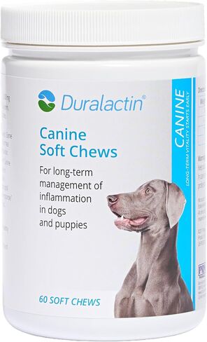 مضغ ناعم للكلاب من PRN Pharmacal Duralactin - مكمل صحي مشترك للكلاب والجراء للمساعدة في تقليل الألم المزمن - مضغ للكلاب يحتوي على بروتين الحليب المجفف - نكهة كبد الدجاج - 60 مضغ in Kuwait