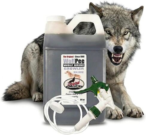 Predator Pee 100% Wolf Urine - Territorial Marking Scent - Creates Illusion That Wolf is Nearby - 64 oz … in Kuwait