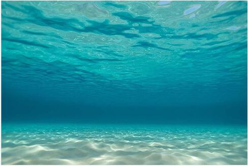 T&H XHome Aquarium Décor Backgrounds Pure Blue Water Pattern Fish Tank Background Aquarium Sticker Wallpaper Decoration Picture PVC Adhesive Poster 30.4" W x 12.4" H in Kuwait