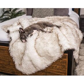 PAW BRANDS PupProtector Waterproof Dog Blanket - Soft Plush Throw Protects Bed, Couch, or Car from Spills, Stains, Scratching, or Pet Fur - Machine Washable (White) in Kuwait