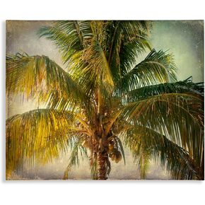 Stupell Industries Distressed Tropical Summer Palm Tree Frond Photograph Wall Art, 16 x 20, Green in Kuwait