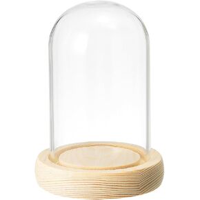 PATIKIL 3.9"x3.1" Clear Cloche Glass Dome, Glass Bell Jar Display Case Tabletop Centerpiece with Wooden Base for LED Light Plants Home Decor in Kuwait