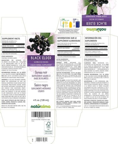 Naturalma Black Elder (Sambucus nigra) flower (Elderflower) and fruit (Elderberry) Alcohol-free Tincture - 4 fl oz Liquid extract in drops - Herbal supplement - Vegan in Kuwait
