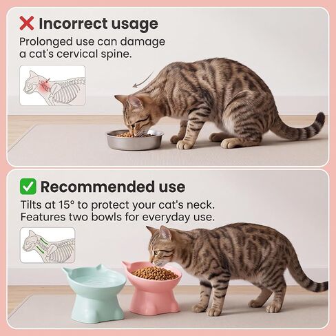 Yaomiao 2 Pcs Plastic Elevated Cat Bowls Tilted Cat Food Bowls, Raised Cat Water Bowl Cat Elevated Bowls Kitten Supplies Cat Accessories for Food and Water Feeding Cat Kitten Small Pet, Pink and Green in Kuwait