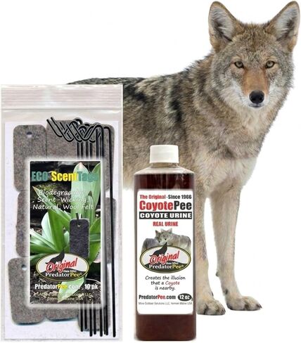 PredatorPee 100% Coyote Urine - Territorial Marking Scent - Creates Illusion That Coyote is Nearby - 64 oz in Kuwait