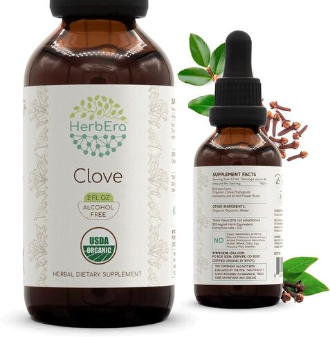 Clove B60 USDA Organic Tincture | Alcohol-Free Extract, High-Potency Herbal Drops, Immune System Health | Certified Organic Clove (Syzygium Aromaticum) Dried Flower Buds (2 fl oz) in Kuwait