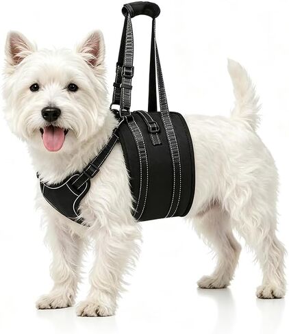 NOYAL Dog Lift Harness Pet Support Rehabilitation Sling Lift Adjustable Padded Breathable Straps for Old, Disabled, Joint Injuries, Arthritis, Loss of Stability Dogs XXL Black in Kuwait