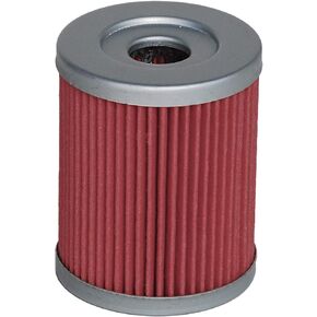 HIFROM Oil Filter Replacement for Yamaha YP400 CP250 Suzuki DR125SE LTF230 LT230E LT300E RV125 SP125 LTF230LTF250 AN250 AN400 Burgman LTZ250 LT250 LT250E Arctic CAT 250 300 Replace HF132 KN132