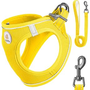 Dog Harness and Leash Set, Dog Harness for Small Medium Dogs No Pull, Adjustable Reflective Step-in Air Dog Harness, Soft Breathable Mesh, Pet Vest for Small Medium Dogs, Cats - Pink, XS