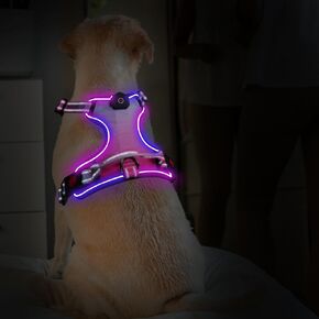 LED Dog Harness, Lighted Up Dog Harness, No-Pull Dog Harness with 2 Leash Clips, Adjustable Soft Padded Dog Vest, Reflective No-Choke Pet Oxford Vest with Easy Control Handle (Pink, Small)