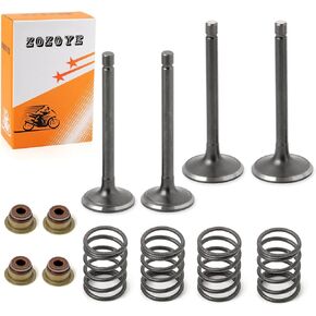 Fugi Robbin 295cc 350cc Exhaust & Intake Valve & Seals Springs For EZGO 4 Cycle Gas Golf Cart MCI 2003-2008 (NO 1992-2002) 72857-G01 72507-G01