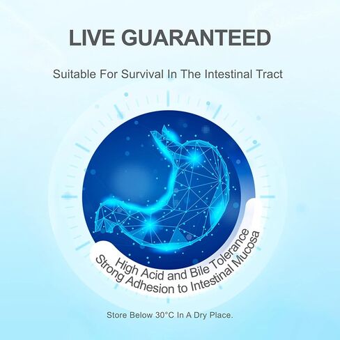 Life-Space Probiotic Supplements – Premium Broad Spectrum Probiotics for Women, Men and Adults – Shelf-Stable 32 Billion CFU & 15 Strains Probiotics – for Digestive and Immune Support – 30 Capsules in Kuwait