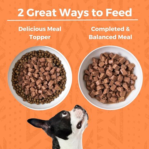 KOHA Minimal Ingredient Chicken Stew for Dogs, High Protein Limited Ingredient Dog Food, 12.7oz Cans (Case of 12) in Kuwait