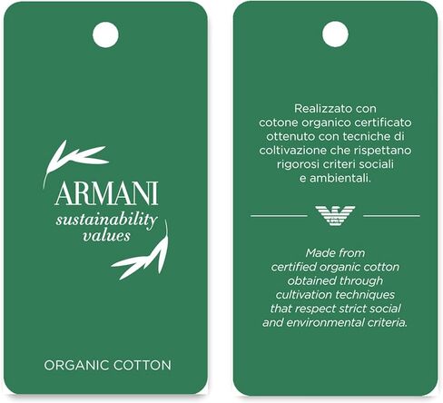 Emporio Armani Women's Stretch Cotton Logoband 2-Pack Brief in Saudi Arabia