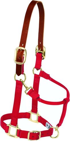Weaver Leather Nylon Adjustable Breakaway Horse Halter, Small, Red in Saudi Arabia