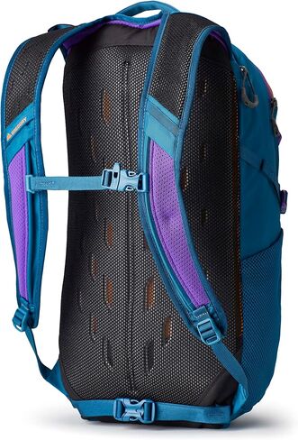 Gregory Mountain Products Nano 20 Everyday Pack, One Size, Icon Teal in Saudi Arabia
