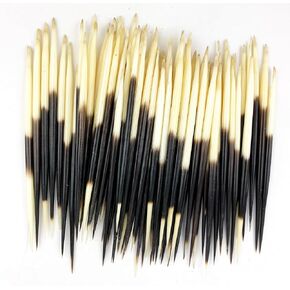 Heyiwell 10 Pieces African Real Porcupine Quills 5"~6" Inch Long in Kuwait