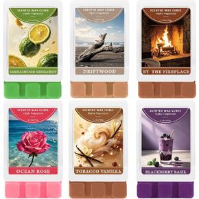 STRN Wax Melts Warmer, Crystal Wax Warmer, Electric Wax Melter Burner, Wax Melt Warmer for Wax Melts, Valentines Day Gifts, Home Office Fragrance Decorations for Mom in Kuwait