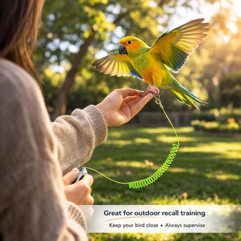 Parrot Bird Harness Leash Anti-bite Outdoor Flying Training Rope with 5pcs Different Sizes of Soft Foot Loops and Training Whistle(Upgraded Version of Ankle Ring) in Kuwait