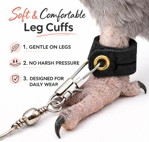 Parrot Bird Harness Leash Anti-bite Outdoor Flying Training Rope with 5pcs Different Sizes of Soft Foot Loops and Training Whistle(Upgraded Version of Ankle Ring) in Kuwait