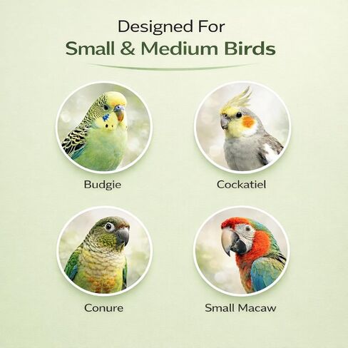 Parrot Bird Harness Leash Anti-bite Outdoor Flying Training Rope with 5pcs Different Sizes of Soft Foot Loops and Training Whistle(Upgraded Version of Ankle Ring) in Kuwait