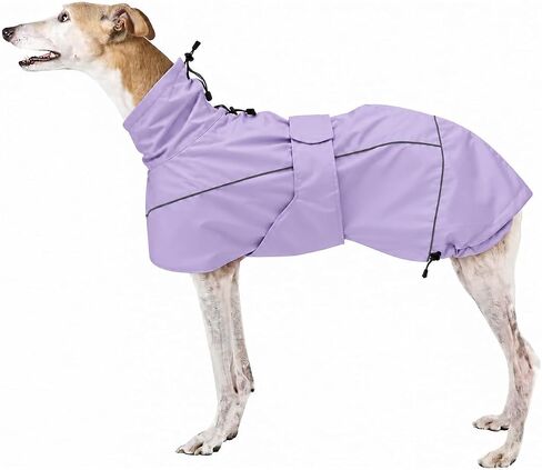 معطف واق من المطر Greyhound Lurcher، معدات المطر Whippet مع شريط عاكس، المطر/مقاوم للماء، أشرطة قابلة للتعديل ورباط في الخريف والشتاء - أحمر - S in Kuwait