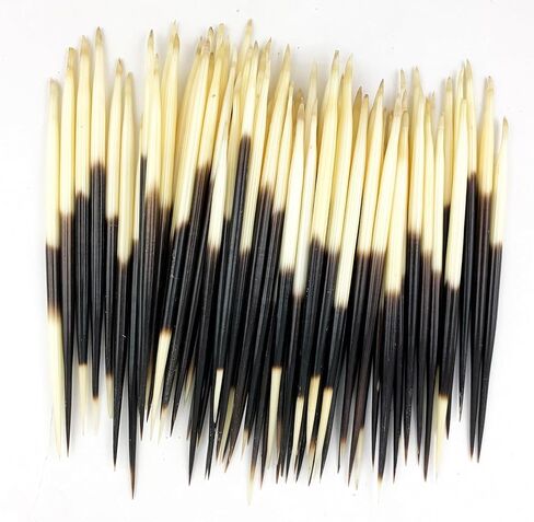 Heyiwell 10 Pieces African Real Porcupine Quills 5"~6" Inch Long in Kuwait
