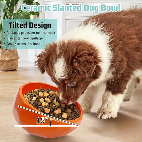 kathson Slanted Ceramic Dog Bowl Tilted 15° Cat Food Water Bowls Dish Animal Pet Comfort Feeding Bowls Heavy Weighted Feeder for Wet or Dry Food (White) in Kuwait