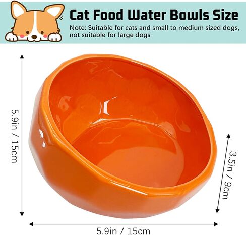 kathson Slanted Ceramic Dog Bowl Tilted 15° Cat Food Water Bowls Dish Animal Pet Comfort Feeding Bowls Heavy Weighted Feeder for Wet or Dry Food (White) in Kuwait
