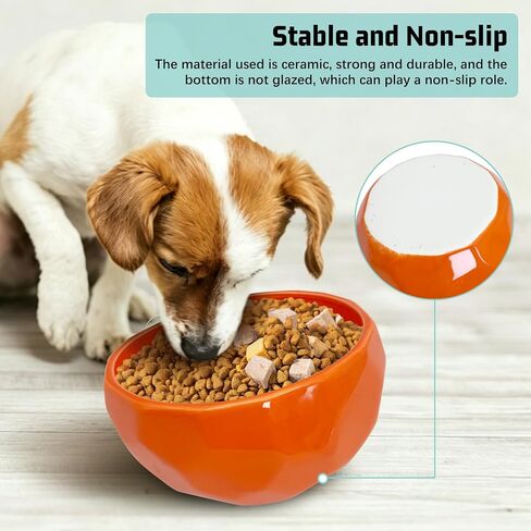 kathson Slanted Ceramic Dog Bowl Tilted 15° Cat Food Water Bowls Dish Animal Pet Comfort Feeding Bowls Heavy Weighted Feeder for Wet or Dry Food (White) in Kuwait
