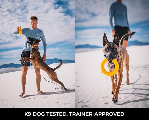 Chew Ring & Fetch Ball Combo for Aggressive Chewers | Heavy-Duty, Ultra-Durable Natural Rubber, Tough Dog Toys for Medium to Large Breeds in Kuwait
