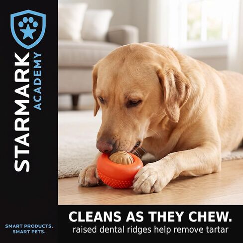 Everlasting Treat For Dogs, Natural Hickory Smoke, Medium in Kuwait