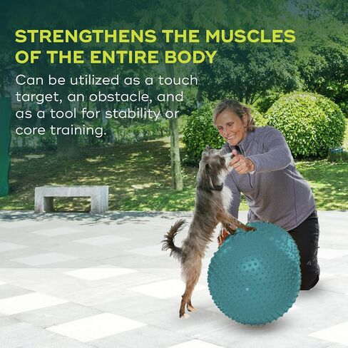 FitPAWS طوق Traxpeanut للكلاب مقاس 40 سم in Kuwait