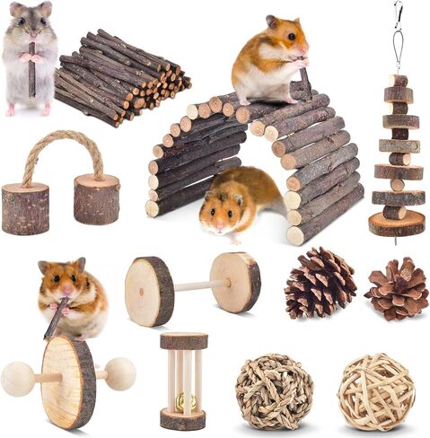ERKOON 11 Pack Hamster Chew Toys, Small Animal Activity Toys Accessories Molar Teeth Care Natural Apple Wood Ladder Bell Roller for Dwarf Hamsters Rat Guinea Pigs Chinchillas Gerbils Bunnies in Kuwait