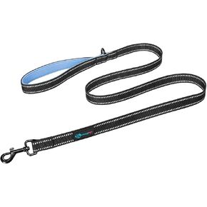 PHOEPET 5 Feet Dog Leash - Dual-Side Reflective - Soft Padded Handle - Fit for Walking, Training or Exploring Hiking, Camping (Green + Blue Base) in Kuwait