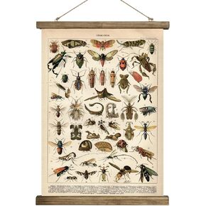 SHOXREM Vintage Poster,Rustic Art Prints, Retro Style of Wall Hanging for Living Room Office Classroom Bedroom Playroom Apartment Decor. (Birds 2Panels, 16“ x 24") in Kuwait