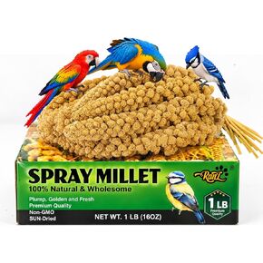 RANZ 5LBS Millet Spray for Birds, GMO-Free, Sun Dried Spray Millet, Original Bird Treats & Supplement for Parrots, Cockatiels, Lovebirds, Painted Buntings and Finches, Parakeets Food Millet in Kuwait