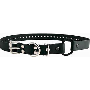 Educator Bungee Dog Collar, Biothane, Waterproof, Odorproof, Metal Buckle and D Ring with Comfort Bungee Loop Adjustable for Custom Fit, 3/4-Inch, Black in Kuwait