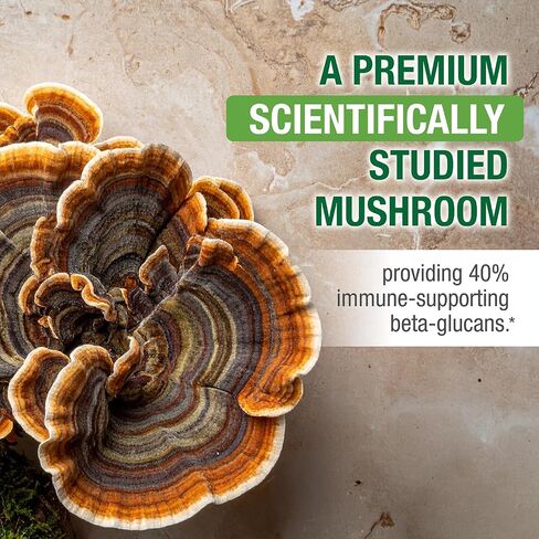 Bell Supreme Immune Support™ Mushroom Supplement Unique Blend with Turkey Tails Mushroom -A Natural Supplement for Immune Support, Unique Blend | 90 Capsules in Kuwait