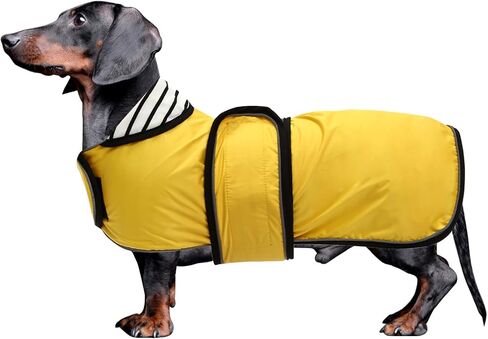 معطف واق من المطر من Dachshund مقاوم للماء، مثالي لمعدات المطر للكلاب من Dachshund Sausage Weiner مع زخرفة عاكسة وأشرطة قابلة للتعديل لملابس الكلاب في الخريف والشتاء - أصفر - S in Kuwait