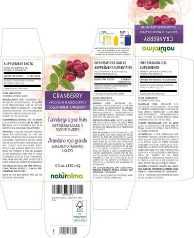 Naturalma Cranberry (Vaccinium macrocarpon or Oxycoccus macrocarpos) fruit Alcohol-free Tincture - 4 fl oz Liquid extract in drops - Herbal supplement - Vegan in Kuwait
