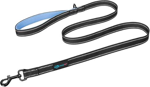 PHOEPET 5 Feet Dog Leash - Dual-Side Reflective - Soft Padded Handle - Fit for Walking, Training or Exploring Hiking, Camping (Green + Blue Base) in Kuwait