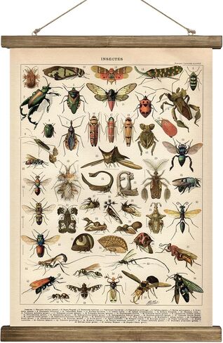 SHOXREM Vintage Poster,Rustic Art Prints, Retro Style of Wall Hanging for Living Room Office Classroom Bedroom Playroom Apartment Decor. (Birds 2Panels, 16“ x 24") in Kuwait