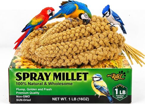RANZ 5LBS Millet Spray for Birds, GMO-Free, Sun Dried Spray Millet, Original Bird Treats & Supplement for Parrots, Cockatiels, Lovebirds, Painted Buntings and Finches, Parakeets Food Millet in Kuwait