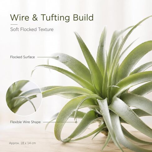 ChezMax الاصطناعي يتدفقون Tillandsia نباتات الهواء الأناناس العشب فو العصارة Bromeliads ديكور المنزل حديقة 2 قطعة 4 # in Kuwait