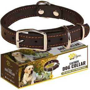 Heavy Duty Black Leather Dog Collar - Soft and Strong Dog Collar for Puppy or Small Dogs (Small: Fit 10" - 14.5" Neck, Black) in Kuwait